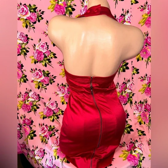 Bebe RED HOT CHILI PEPPER Bustier bodice zipper satin sexy Valentine dress Vegas - Picture 5 of 9